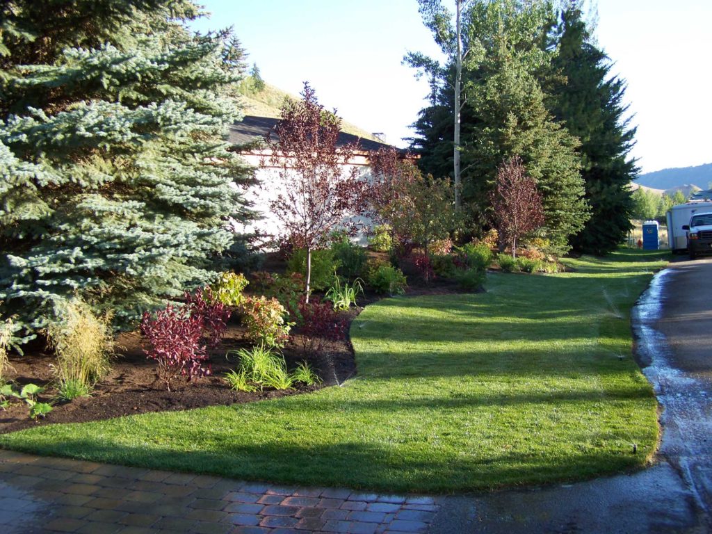 Clearwater Landscaping
