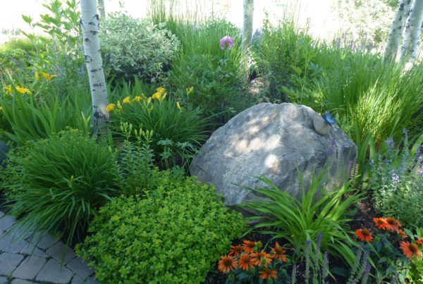 Clearwater Landscaping | Property Services | Sun Valley, Hailey, Ketchum, Idaho