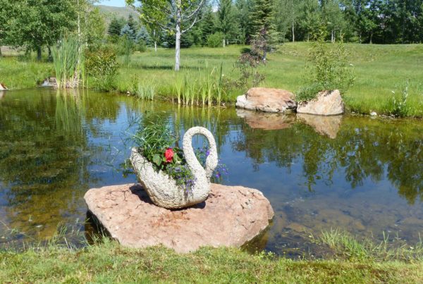 Clearwater Landscaping | Landscape Construction | Sun Valley, Hailey, Ketchum, Idaho