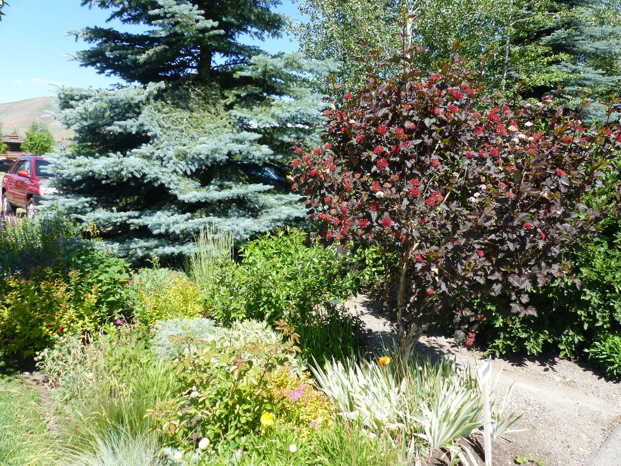 Clearwater Landscaping | Property Maintenance | Sun Valley, Hailey, Ketchum, Idaho