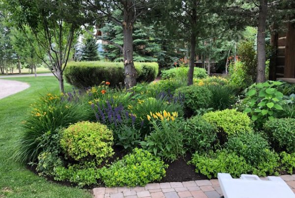 Clearwater Landscaping | Property Services | Sun Valley, Hailey, Ketchum, Idaho
